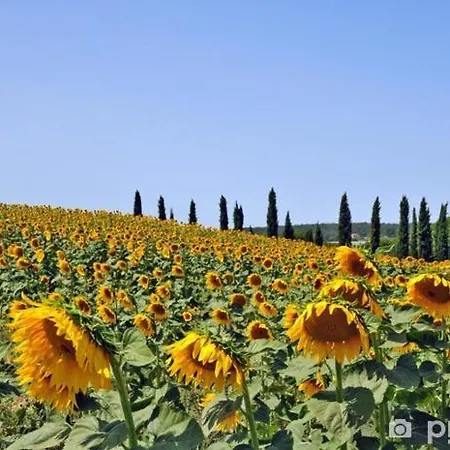 Residence Lucignano Landsted